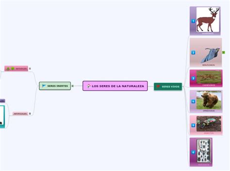 Arriba Imagen Mapa Mental De Seres Vivos Abzlocal Mx
