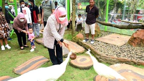 Bps Kunjungan Wisatawan Mancanegara Ke Jatim Meningkat Pesat Di Tahun