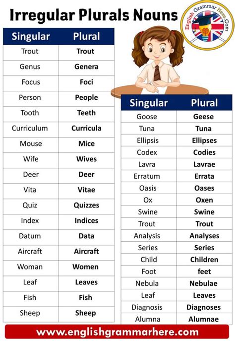 Sentences With Irregular Plural Nouns