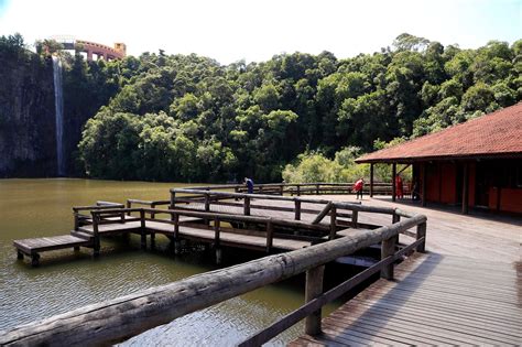 Parques de Curitiba são roteiro de belas paisagens e boa comida Lobi