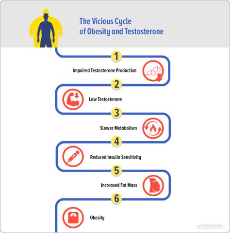 The Definitive Guide To Maintaining And Increasing Testosterone Levels