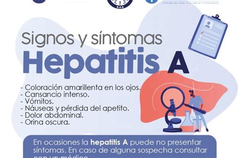 Signos Y S Ntomas Hepatitis A Onc Logos Del Occidente S A S