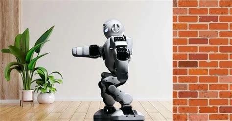 Robot Toy for Adults - Explore the Best Options| Robots and Toys