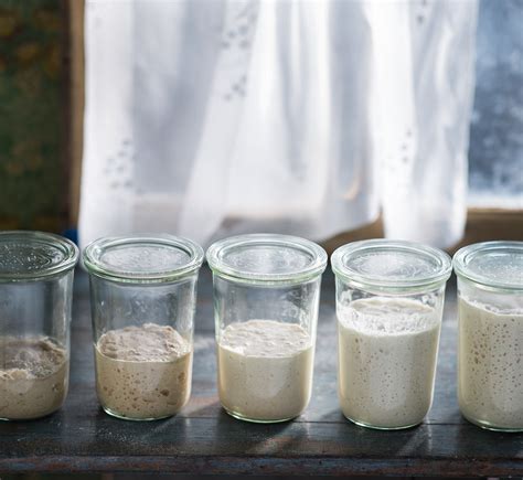 Sourdough starter | Sourdough Recipe | BakeClub