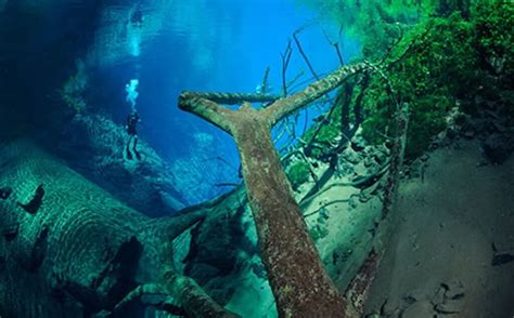 Lagoa Misteriosa Em Bonito Ms Bonitoecotour