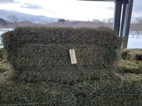 Rd Alfalfa Grass Mix Rogers Community Auction Inc