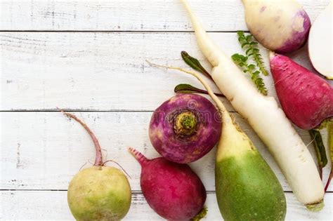 Varias Clases De Daikon Del R Bano Rojo Chino Verde En El Fondo De