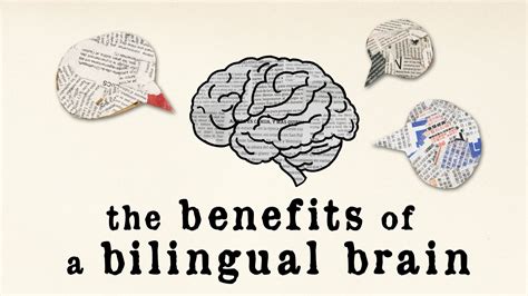 Benefits Of A Bilingual Brain La Dante In Cambridge