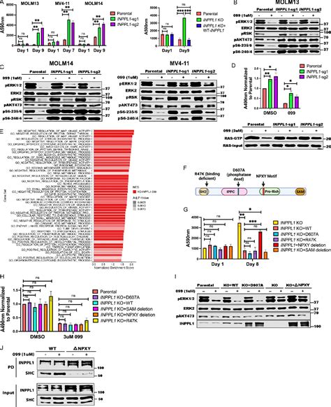 Figure From Genome Wide Crispr Cas Screens Reveal Shared And Cell