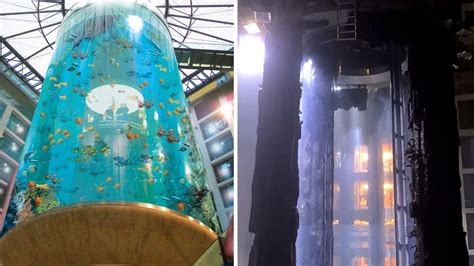 Aquarium With One Million Liters Of Water Bursts In Berlin Hotel