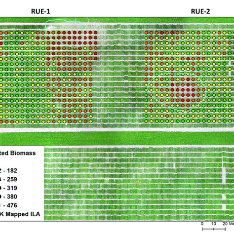 Estimated Biomass G M 2 Of Soybean On 17 July 2018 At Early Growth