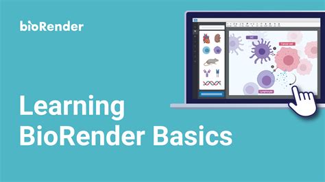 Biorender Learning Hub Learn The Biorender Basics