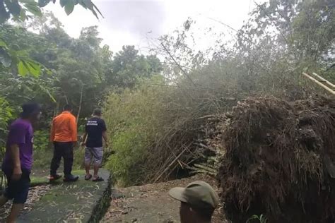 Didominasi Tanah Longsor Dan Pohon Tumbang Radar Jogja