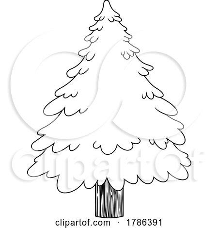 Cartoon Black and White Evergreen or Christmas Tree by Hit Toon #1786391