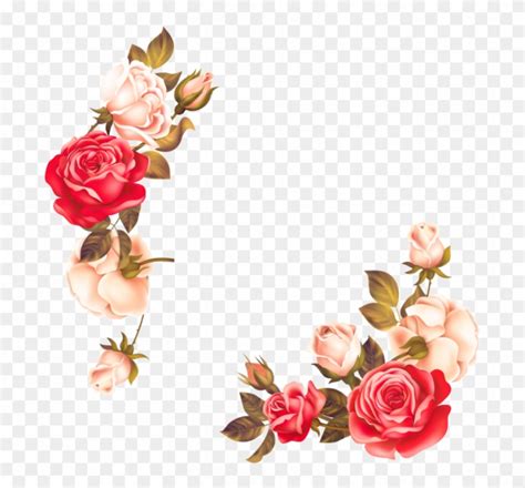 Rose Flower Border Vector