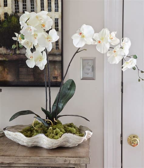 ORCHIDS IN A SHELL DIY StoneGable Indoor Orchids Orchid Pots Ideas