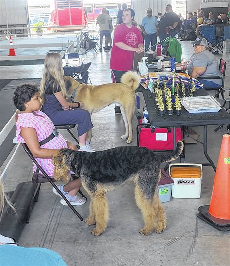 Ohio State Fair Dog Show 2024 Daryn Jacquelyn