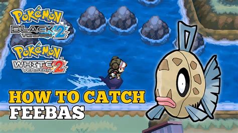 How To Catch Feebas In Pokemon Black And White Feebas Location