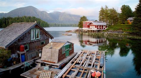 Tofino Travel Guide Best Of Tofino British Columbia Travel 2024