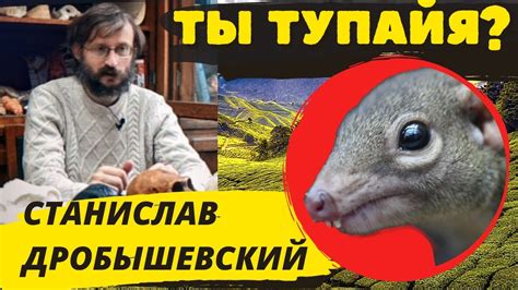 Заселение Азии - ДРОБЫШЕВСКИЙ палеонтология // Тупая Тупайя - YouTube