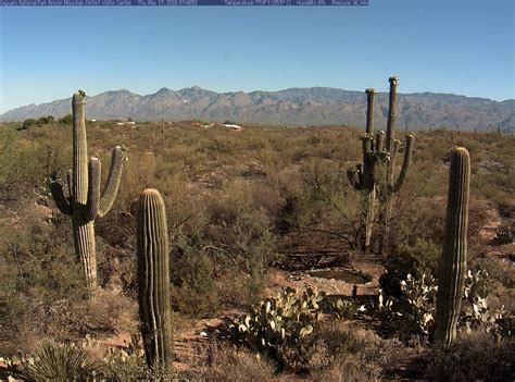 0ffline Archive Saguaro National Park Rincon Mountain Visitor Center