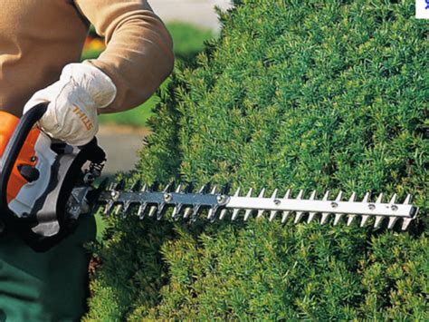 Taille Haies Stihl Hse Cm Pepinieres Cardon Pepinieres