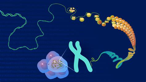 GENOMICS DNA VARIANTS AND MUTATIONS Sigma Earth