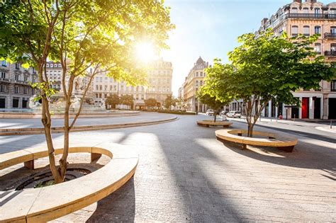 Choisir les arbres adaptés au climat d aujourd hui et de demain