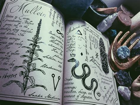 Lunarearthwitch The Hedge Witches Grimoire A Beautiful Spell Book Of