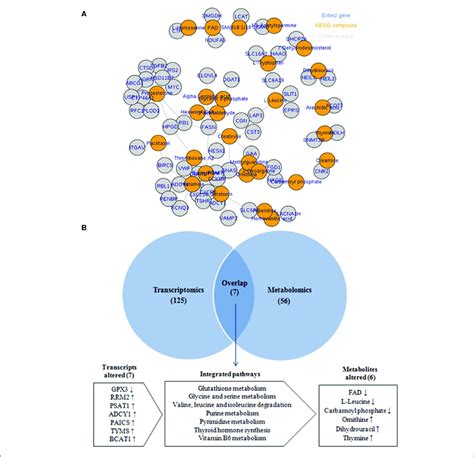 Integration Of Transcriptomic And Metabolomic Data A The Download Scientific Diagram