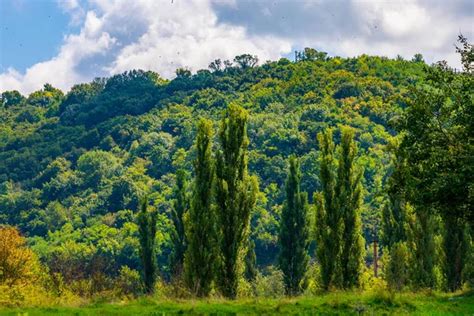 Природа україни картинки, стокові Природа україни фотографії ...