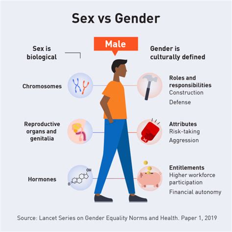 About The Series Lancet Series On Gender Equality Norms And Health