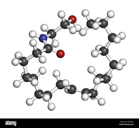 Oleoylethanolamide Oea Endogenous Peroxisome Proliferator Activated