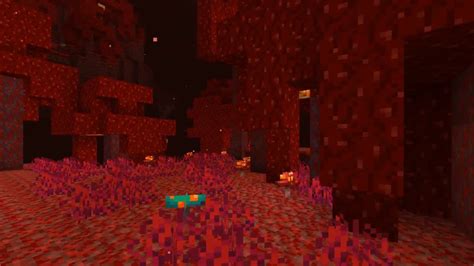 Filenetherwart Forest Redpng Official Minecraft Wiki