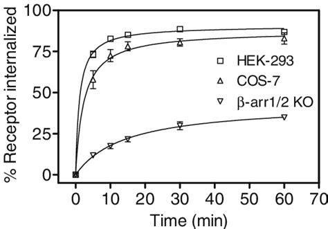 Internalization Properties Of Nk1 R Time Course Of The Nk1 R