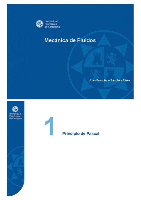 Estatica De Fluidos Apuntes Juan Francisco S Nchez P Rez Principio