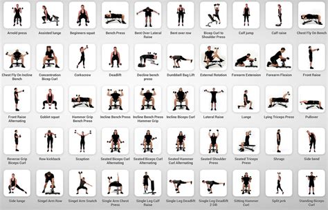 Weights Dumbbell Workout Dumbbell Workout Plan Workout Sheets