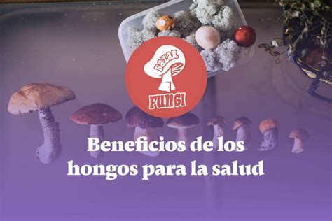 Ejemplos Y Beneficios De Los Hongos Para La Salud Bazar Fungi