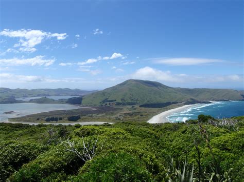 SOUTHERN CROSS SOJOURN: Otago Peninsula