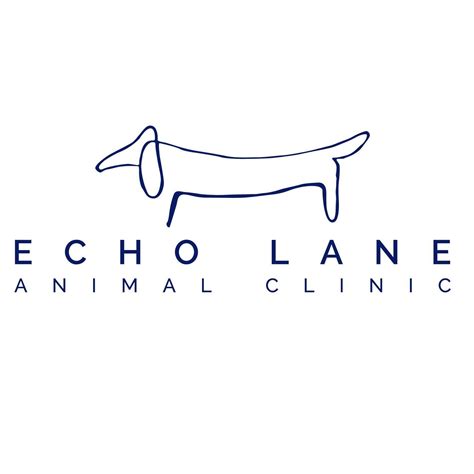 north loop animal clinic houston