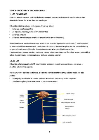 Ud Gestion De Muestras Biologicas Pdf