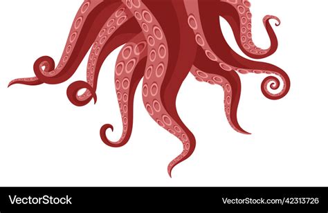 Octopus Zeltakel Hintergrund Karikatur Squid Vektorbild