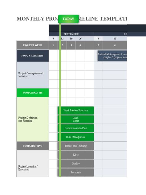 IC Monthly Project Timeline Template For Excel 11412 | PDF