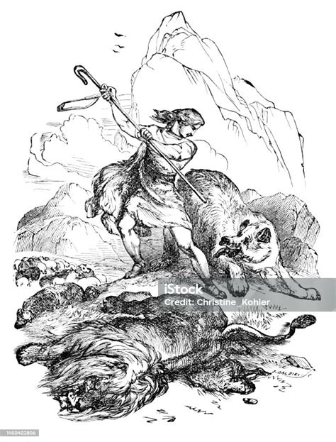 David Kills Lion And Bear Bible History Stock Illustration Download
