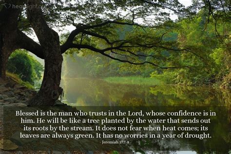 Bible Verses About Trees Planted By The Water Vena Neuman