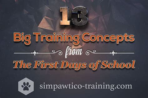 Simpawtico Dog Training 13 Big Dog Training Concepts from The First Days of School - Simpawtico ...