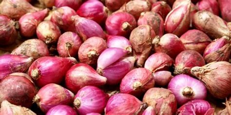 Harga Bawang Merah Per Kg Terbaru Desember Tanya Berita