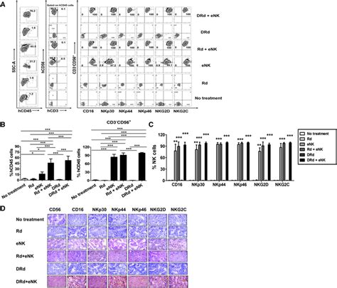 Drd Enhanced Enk Homing In Vivo In Rpmi Rfp Fluc Bearing Mice A In