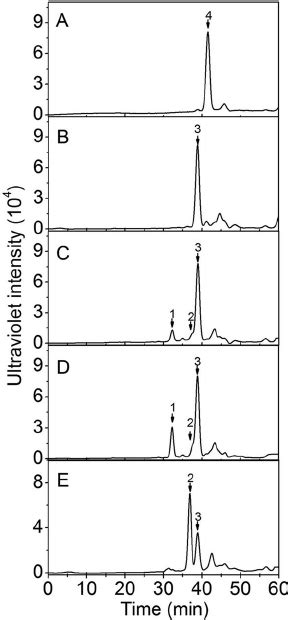 Time Of Flight Mass Spectra Of The Disaccharides Of Ha Cs Digested By