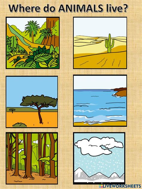 animal habitats - Clip Art Library